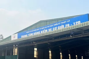 Tạm giữ hình sự 9 người tại Trung tâm đăng kiểm 29-12D