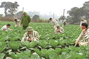 Người chấp hành xong án phạt tù có cơ hội được vay vốn làm ăn
