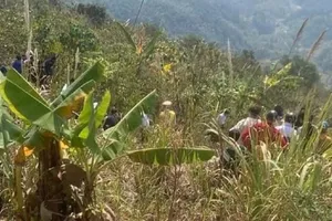 Nữ giáo viên tử vong trên đường đi dạy học