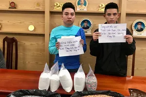 Triệt phá nhóm mua bán ma túy từ Châu Âu về Việt Nam