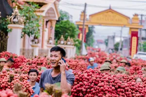 Cận cảnh: Màu vải chín 'nhuộm đỏ' đường phố Bắc Giang