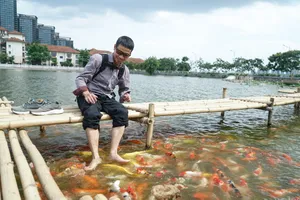 Người dân hào hứng vui đùa cùng hàng nghìn con cá Koi ở hồ Tây