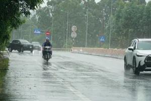 Bão số 1 đang gây mưa tại Quảng Ninh