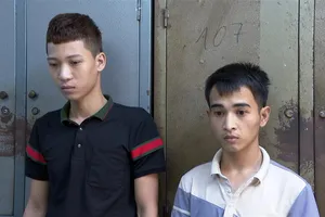 2 thanh niên gây ra 6 vụ phá kính ô tô để trộm cắp tài sản 