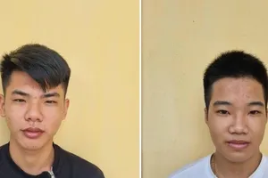 Lập fanpage 'đồ chơi phòng the' rồi chiếm đoạt tài sản 