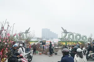 Chuyện ít biết về cặp rồng ở Hồ Tây