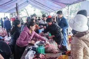 Nhiều người ùn ùn đi mua thịt trâu chọi giá tiền triệu ăn lấy may