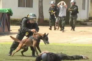 Phó Thủ tướng yêu cầu mở cao điểm tấn công tội phạm về ma túy 