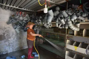 Người dân Hà Nội tất bật dọn dẹp sau lũ