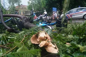 Hà Nội khẩn trương dọn dẹp, khắc phục hậu quả sau bão số 3