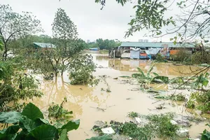 Hà Nội: Nước sông Hồng dâng cao, 1 giờ dâng 10 cm