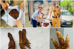 Thu giữ hơn 1 tấn chân gà không rõ nguồn gốc trên đường tuồn về Hà Nội tiêu thụ