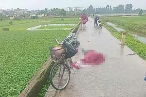 Người phụ nữ nghi bị sét đánh tử vong ở Hà Nội