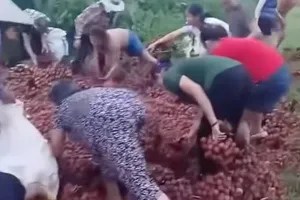 Cặp vợ chồng bị lật xe chở vải thiều nhận được ủng hộ gần đủ tiền sửa xe