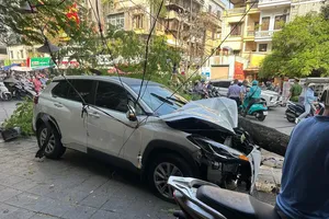 Hà Nội: Ô tô va chạm với nhiều xe máy và tông đổ cây xanh