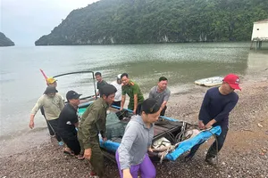 Bộ Công an yêu cầu tập trung ứng phó với bão số 3 và mưa lũ