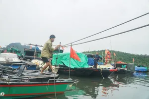 Bão số 9 chưa đến, người dân lại lo bão số 10