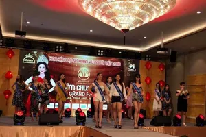 'Hoa hậu Đại sứ Hoàn vũ người Việt 2018' trước giờ G