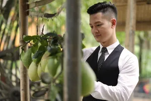 Đức Tuấn giới thiệu nhạc Trịnh Công Sơn nhân dịp 80 năm