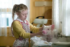 Những mối thâm tình giữa con người và động vật trên màn ảnh 