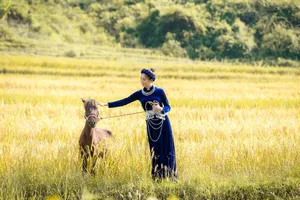 Miss World tung clip giới thiệu của hoa hậu Lương Thùy Linh 