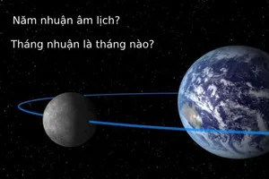 Năm nhuận trên Google Doodle 