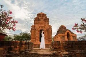 Hồng Trang được cấp phép thi Miss Eco International 2020