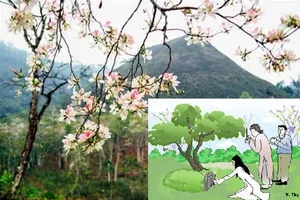 Cần làm gì vào tết Thanh minh mùa COVID-19? 