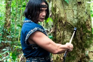 3 ngôi sao võ thuật Diệp vấn tham gia phim điện ảnh Việt Nam