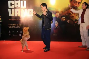 Những hình ảnh Cậu Vàng pose dáng trên thảm đỏ