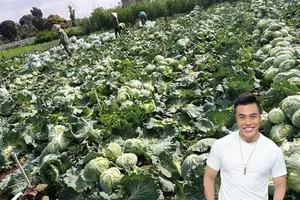 Lê Dương Bảo Lâm giải cứu nông sản giữa mùa dịch COVID-19