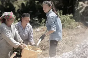 BTC Miss World 2021 tung clip nhá hàng