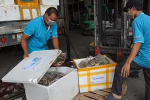 Người dân Quảng Bình góp cá gửi tới khu cách ly, phong tỏa tại TP.HCM