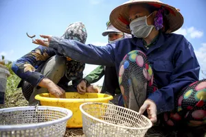 Kẹt lại ở TP.HCM do dịch COVID-19, người dân miền Tây bắt cá mưu sinh