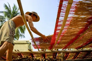 Làng nhang Bình Chánh rực rỡ sắc màu khi vào vụ Tết