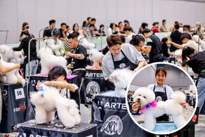 Thú vị cuộc thi tạo mẫu thú cưng lớn nhất Việt Nam