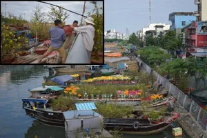 'Bưng chậu mai té lộn cổ, em tưởng về với ông bà rồi!'