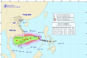Bão Damrey tiến sát Nam Trung bộ