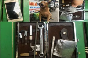 2 chú chó rượt tên trộm chạy té khói, rơi cả đồ nghề