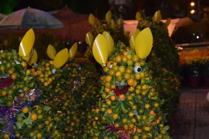 Cặp chó 5 triệu làm từ hàng trăm cây quất hút khách