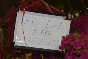 'Chụp hình 10.000 đồng' và câu chuyện buồn sau tấm biển