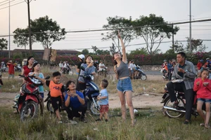 Mê mẩn cánh đồng diều Hóc Môn, hàng trăm người dừng xe