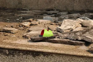 Đứa trẻ Carina: Ba ơi, mình không về nhà được không ba?