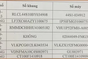 Công an quận 4 tìm chủ sở hữu 7 xe máy