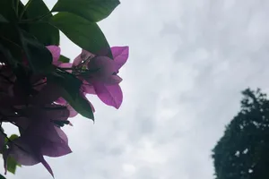 Ngắm TP.HCM bình yên trước thời điểm bão số 9 đến