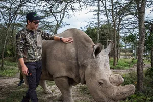 Cuộc thi cho những người yêu và muốn tìm hiểu về tê giác