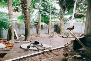 Lớn rồi chẳng mong gì, chỉ mong người thân đừng già đi...