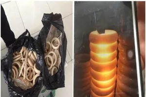 Vụ bắt 6 kg nghi ngà voi: Chỉ có 0,76 kg là thật