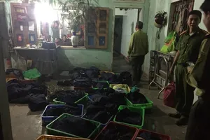 Bị tăng án từ 2 lên 5 năm tù vì nuôi nhốt động vật hoang dã 