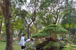 Bịt khẩu trang du xuân ngắm kì hoa dị thảo ở công viên Tao Đàn